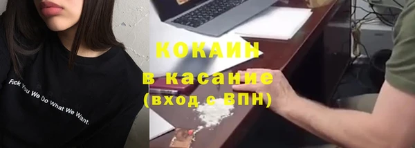 ПСИЛОЦИБИНОВЫЕ ГРИБЫ Арсеньев