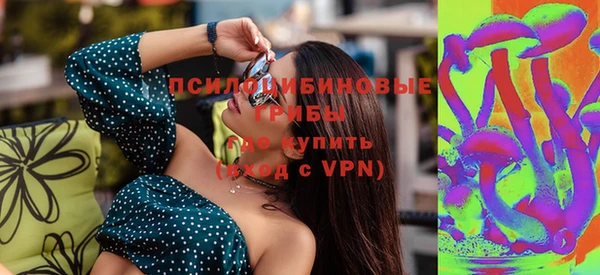 ешки Аркадак