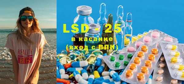 ПСИЛОЦИБИНОВЫЕ ГРИБЫ Арсеньев