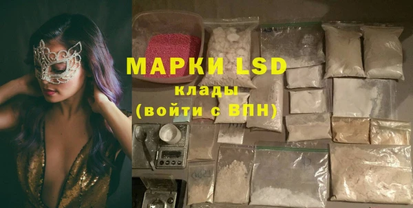ешки Аркадак
