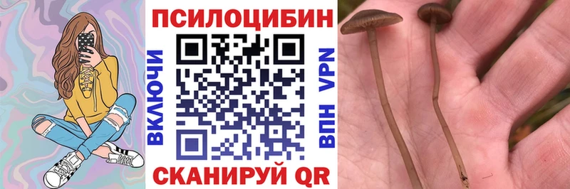 что такое наркотик  Лабытнанги  Галлюциногенные грибы Magic Shrooms 